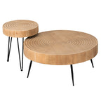 Ensemble de table basse 2 pièces COZAYH