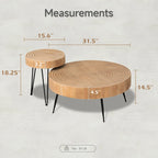 Ensemble de table basse 2 pièces COZAYH