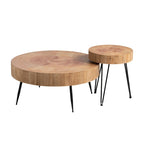 Ensemble de table basse 2 pièces COZAYH