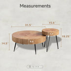 Ensemble de table basse 2 pièces COZAYH
