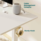 Bureau assis-debout électrique réglable en hauteur, bureau ergonomique pour ordinateur, quatre tailles, quatre couleurs