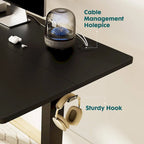 Bureau assis-debout électrique réglable en hauteur, bureau ergonomique pour ordinateur, quatre tailles, quatre couleurs